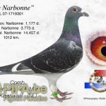 nl07-1719301_de_narbonne_batenburg-vd_merwe