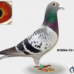 01654-13-1110 v Kopie