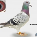 01654-14-1081 Kopie