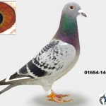 01654-14-1101 Kopie