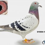 01654-14-1104 Kopie