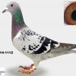 01654-14-1112 Kopie