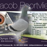 06-6053330 Olymp Ellen