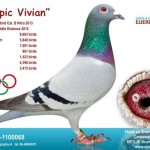 08-1100068_duif_layout-002_2471