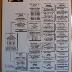 123 pedigree