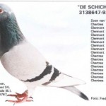 12334DESCHICHT92647VaderFigo