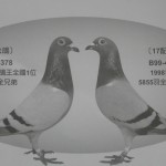 1252300758_2