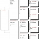 139-16 pedigree