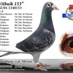 153_son_witbuik