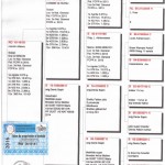 181 pedigree
