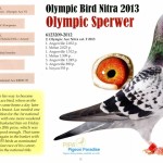 2012-6123209 olympic sperwer