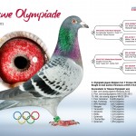 0162785 Eijerkamp Brochure 2017