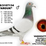 3107134-06_farouk_vk