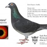 378802_265258250177053_794243482_n