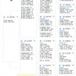 384 pedigree