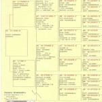464 pedigree