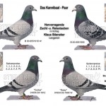 4er_Bild_Kannibaal