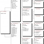 509-14 pedigree