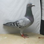 769-13