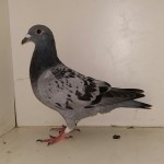 820