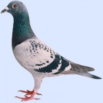 96-5660145