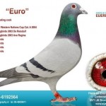 BE03-6192564 Euro_2849