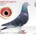 DV-01697-15-1617