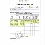 Fisa 2
