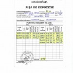Fisa 3