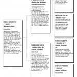 Morizt pedigree