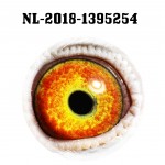 NL 2018-1395254 eye