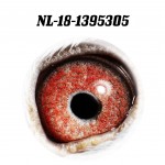 NL 2018-1395305 eye