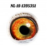 NL 2018-1395351 eye