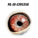 NL 2018-1395356 eye