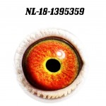 NL 2018-1395359 eye