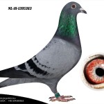 NL 2018-1395363