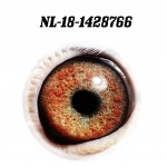 NL 2018-1428766 eye