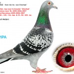 NL08-1872532_0