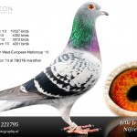 NL10-1221795-Romee-bewerkt3