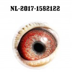 NL17-1582122 eye