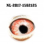 NL17-1582125 eye