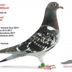 NL18-1085123s