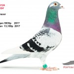 NL18-1085124s
