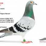 NL18-1085126as