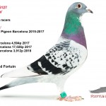 NL18-1085127s