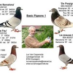 Vancoppenolle103