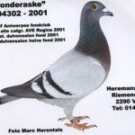 Wonderaske
