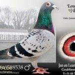 be96-6598538_lowieke_pasch_jan_van_de