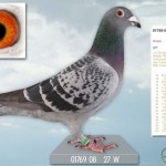 bild_1
