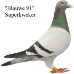 cl93NL00-0077691